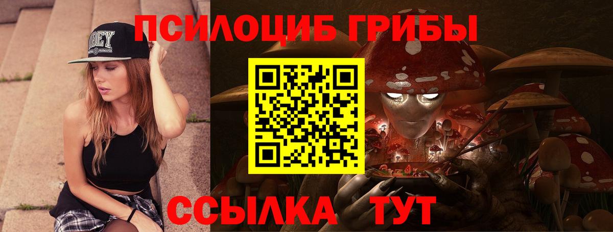 Галлюциногенные грибы Psilocybe  Вход с VPN  Кингисепп 